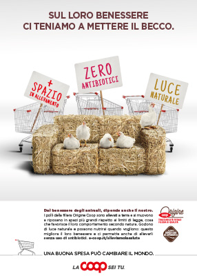 sul loro benessere ci teniamo a mettere il becco. dal benessere degli animali dipende anche il nostro