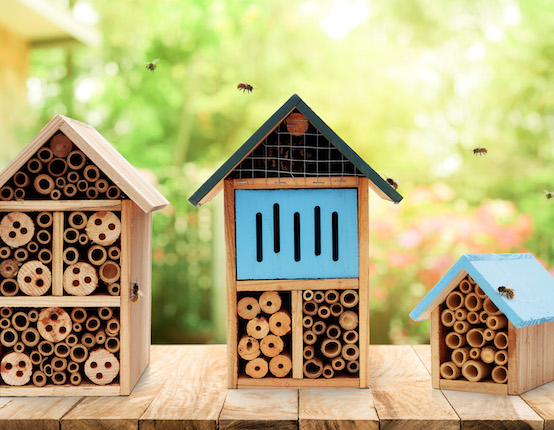 osmie e casette api in legno