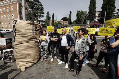 attivisti davanti ambasciata iraniana a roma con coop