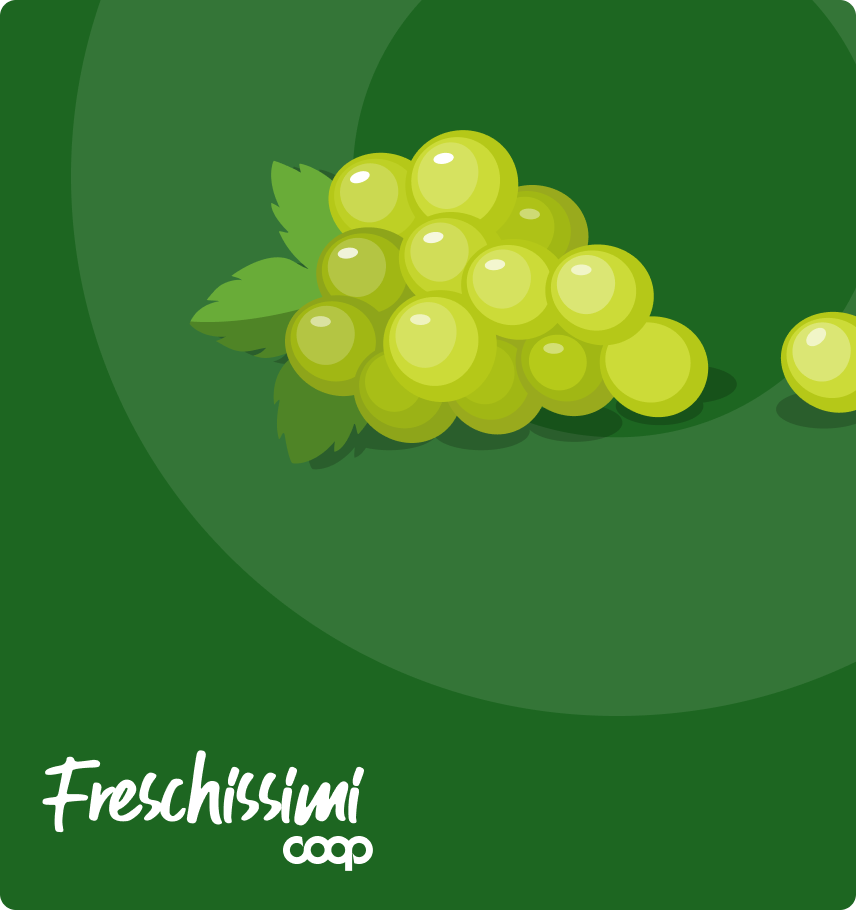 immagine storie list