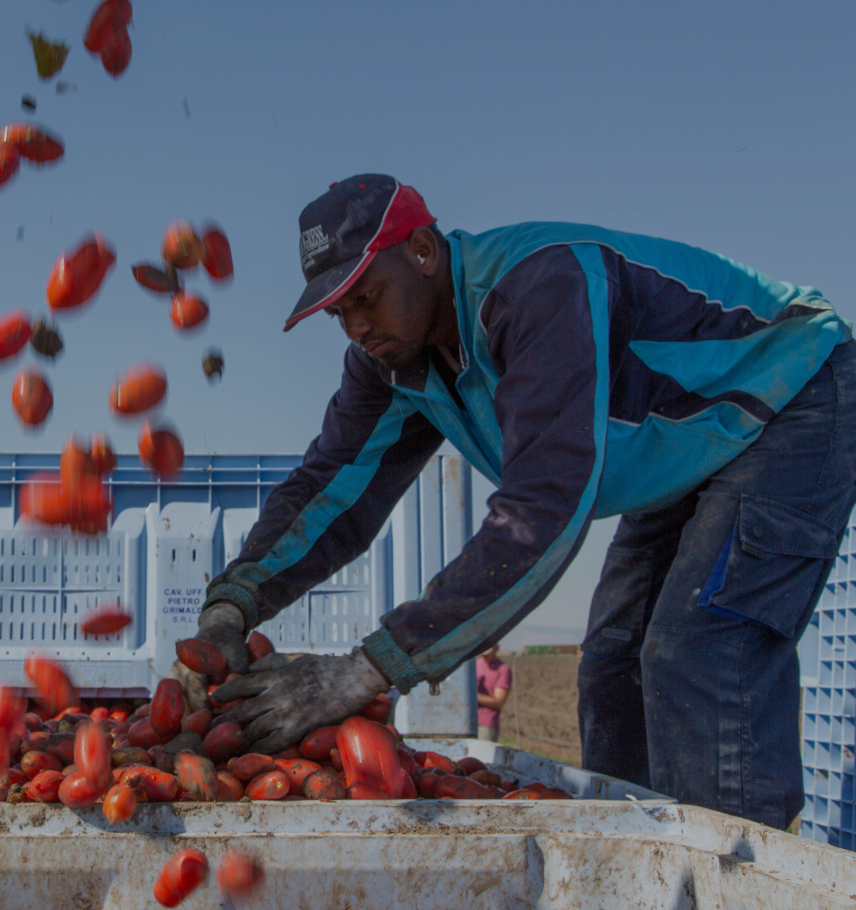 immagine storie list